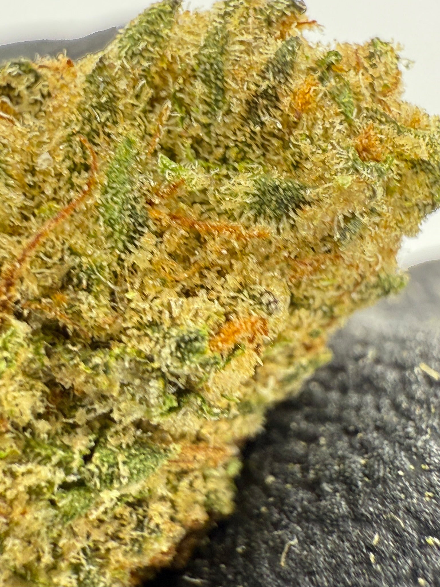 Donkey Kong Smalls - Damn Good | Legal Cannabis