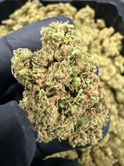 Face Fat - Damn Good | Legal Cannabis