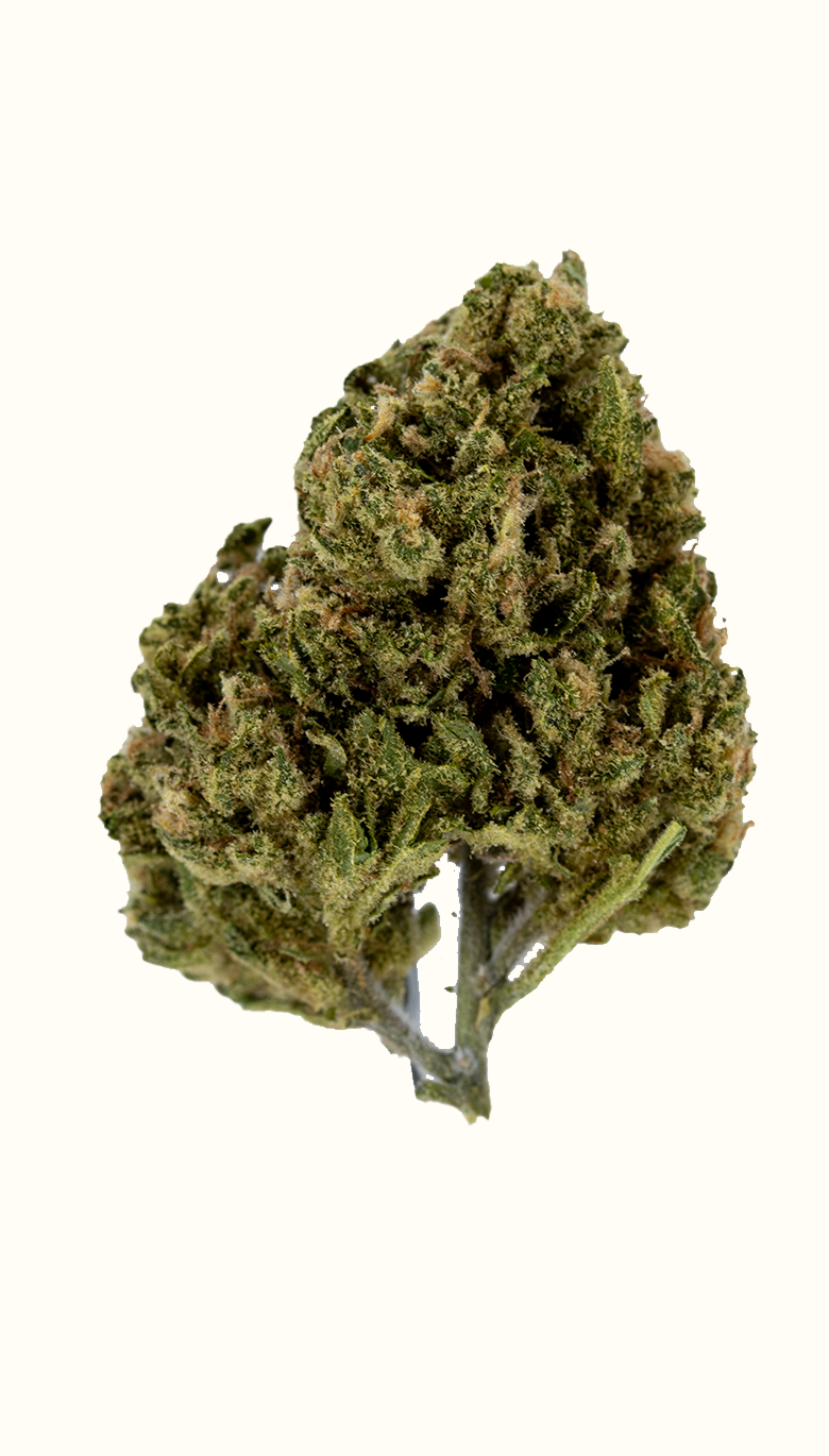 Funk Bomb - Damn Good | Legal Cannabis
