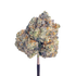 Garlic Juice - Damn Good | Legal Cannabis