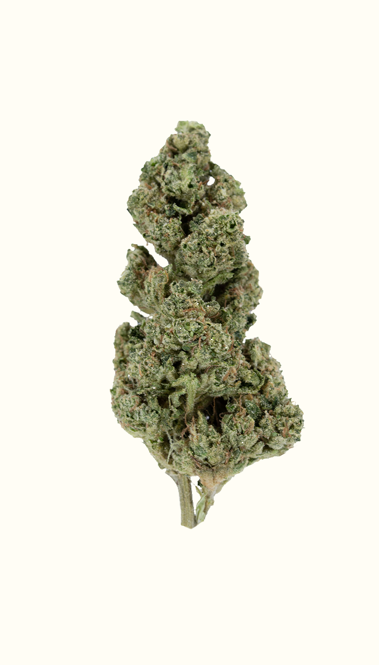Gas Basket - Damn Good | Legal Cannabis