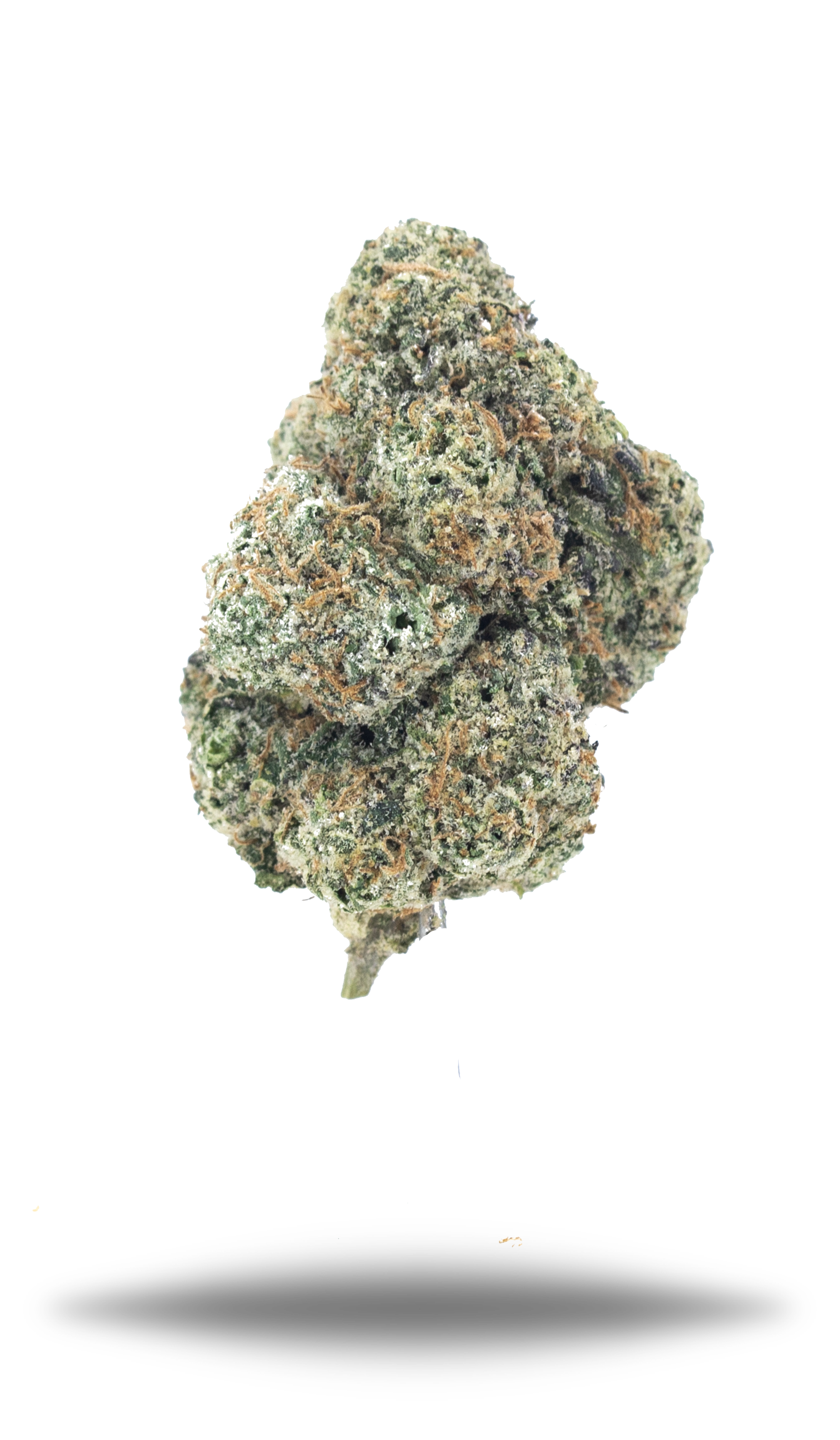 Kaiju Kush - Damn Good | Legal Cannabis