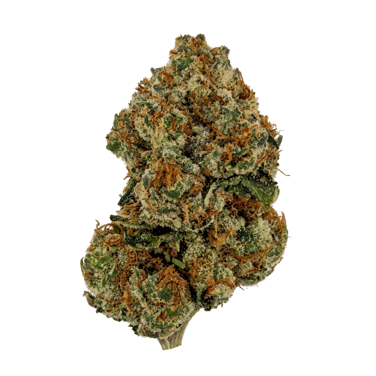 LA Cheese