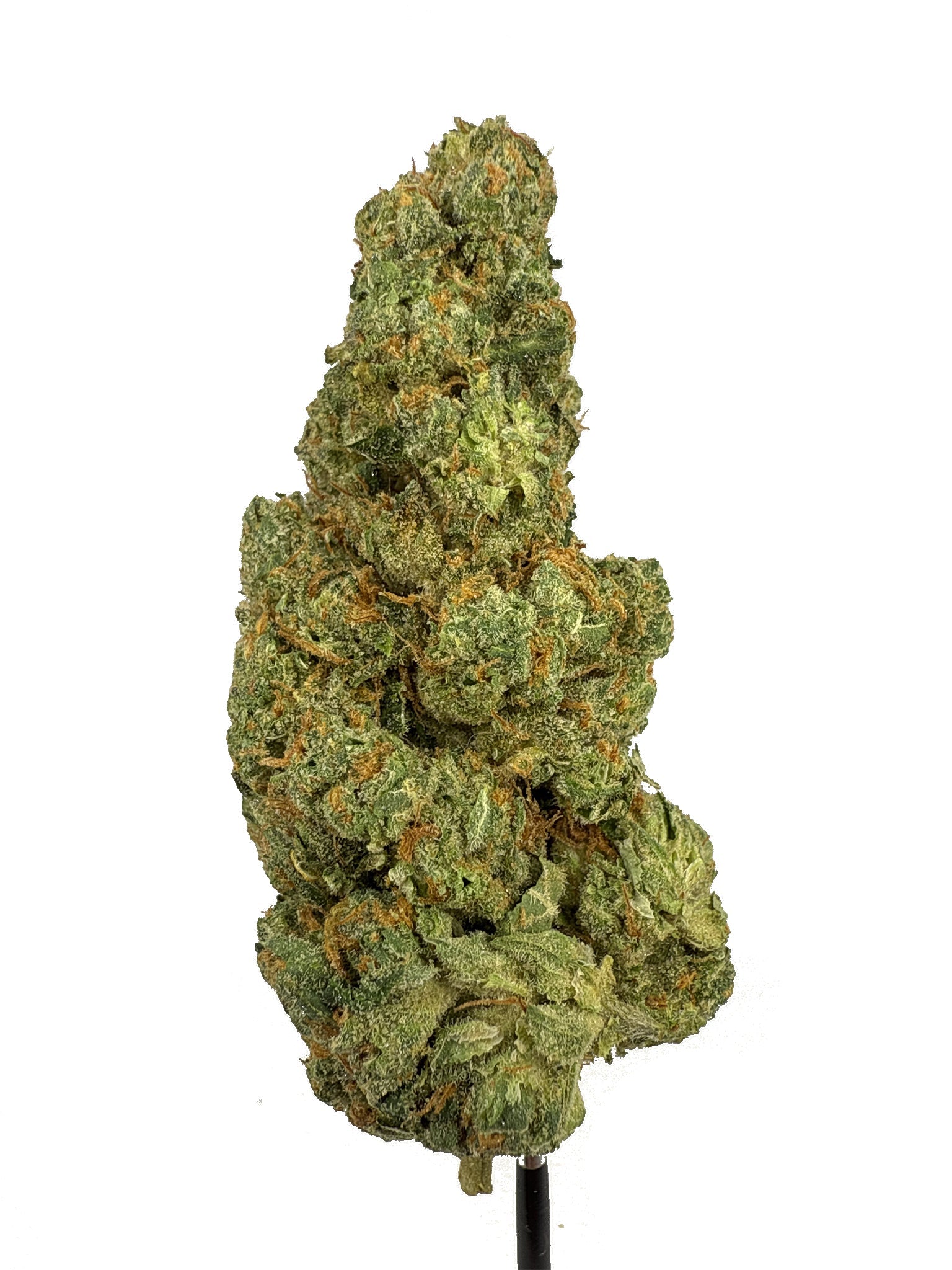 Lemon Head