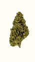 Lemon Drop - Damn Good | Legal Cannabis