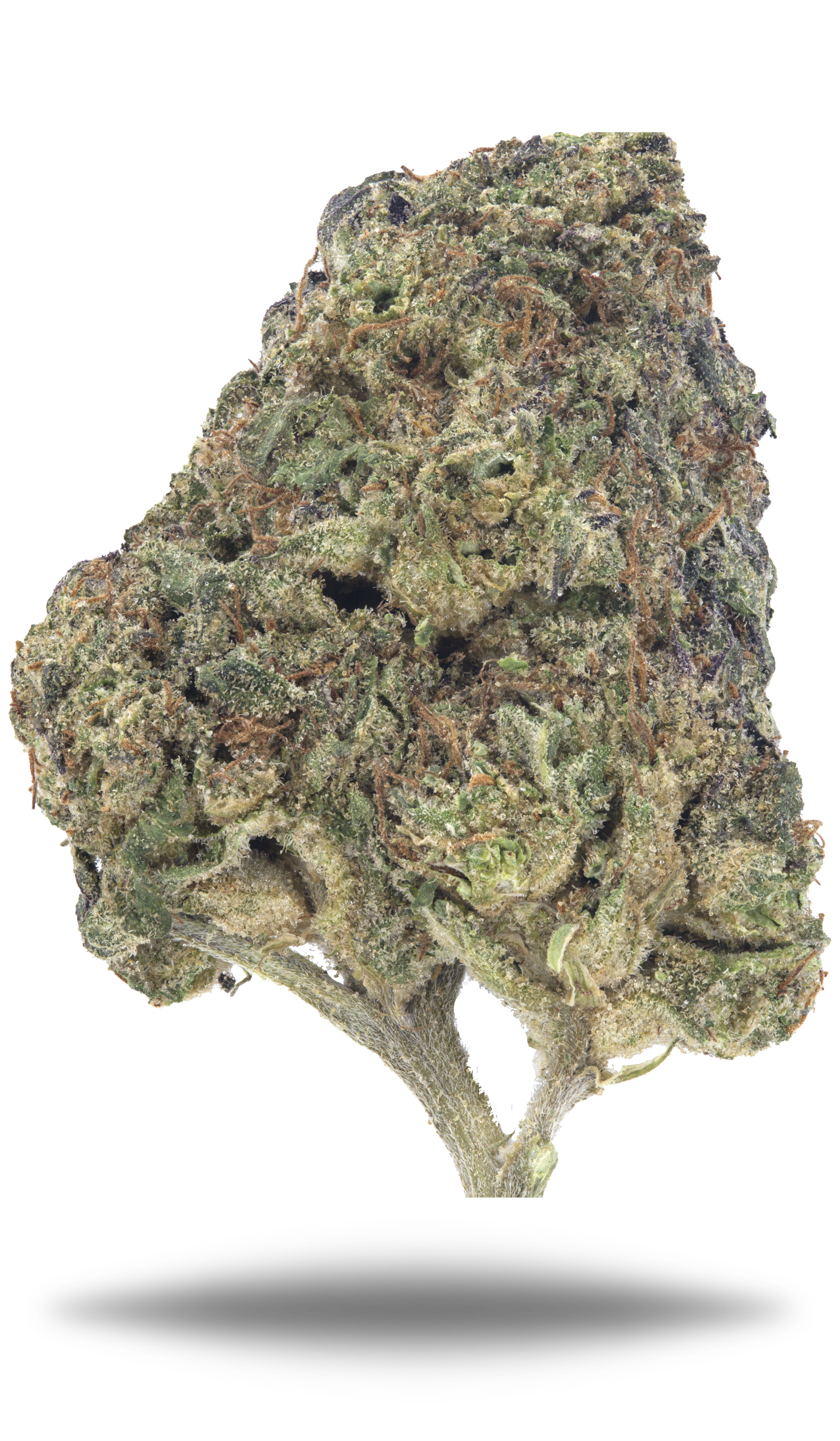 Murder Cake - Damn Good | Legal Cannabis