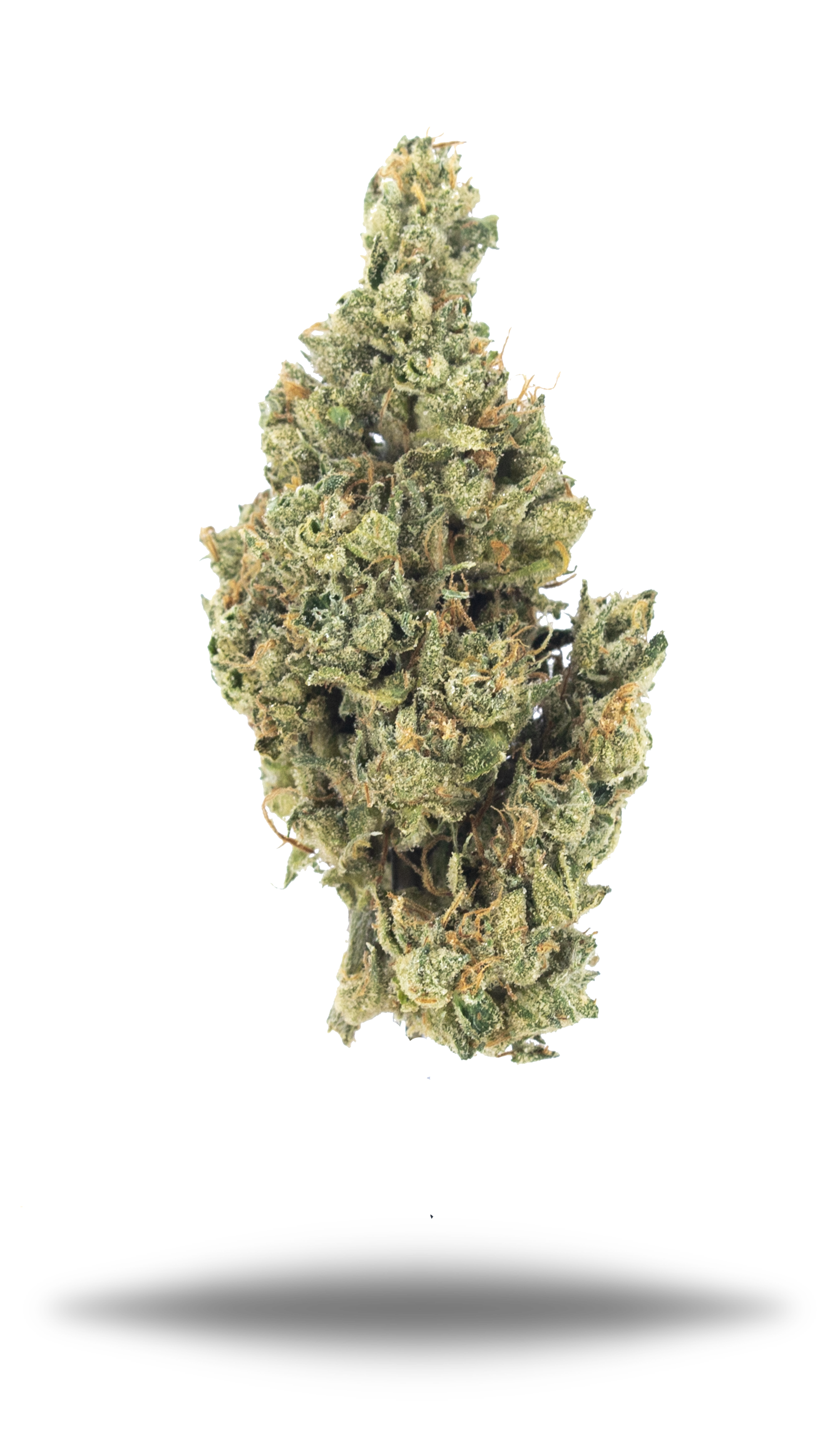 NF1 - Damn Good | Legal Cannabis