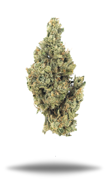 NF1 - Damn Good | Legal Cannabis