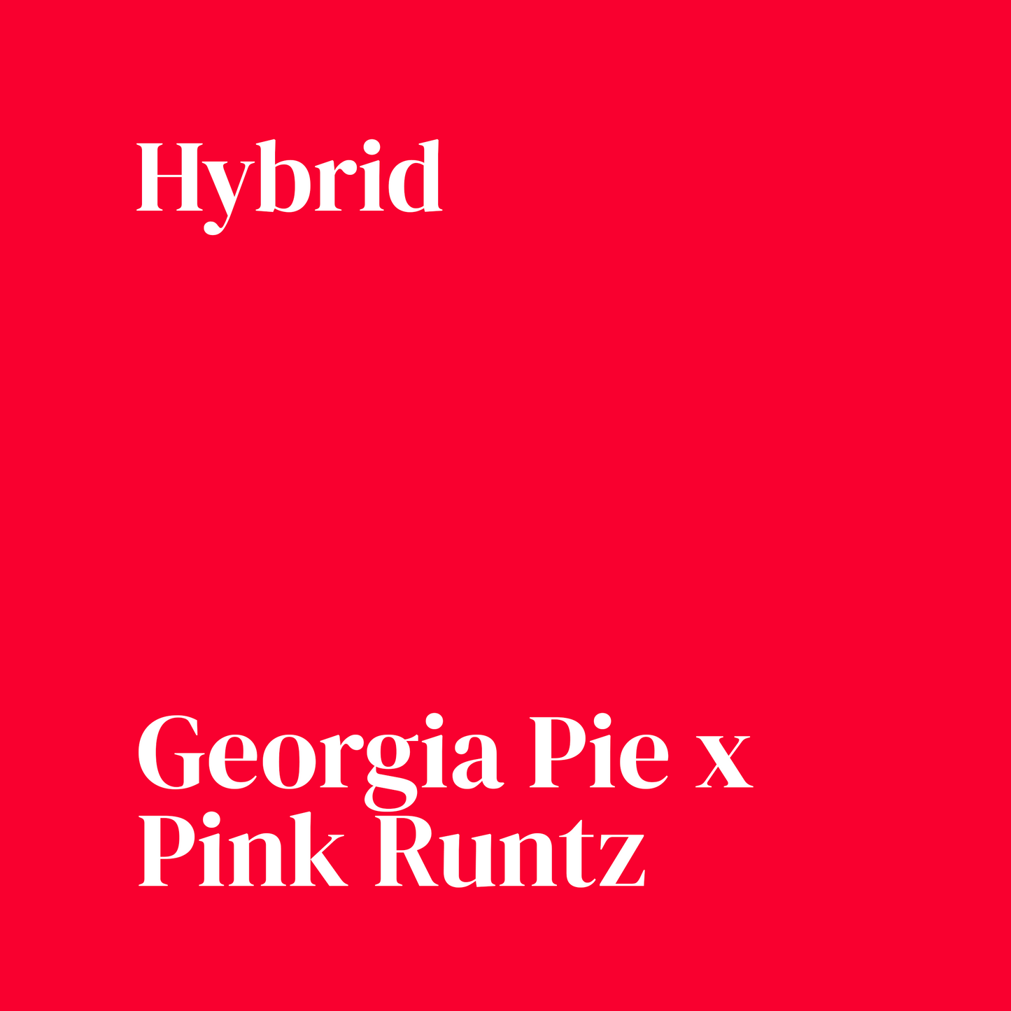 Pink Pie
