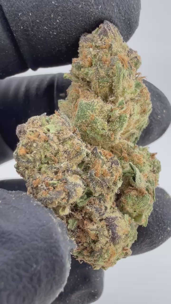 Load video: Blue Nerdz