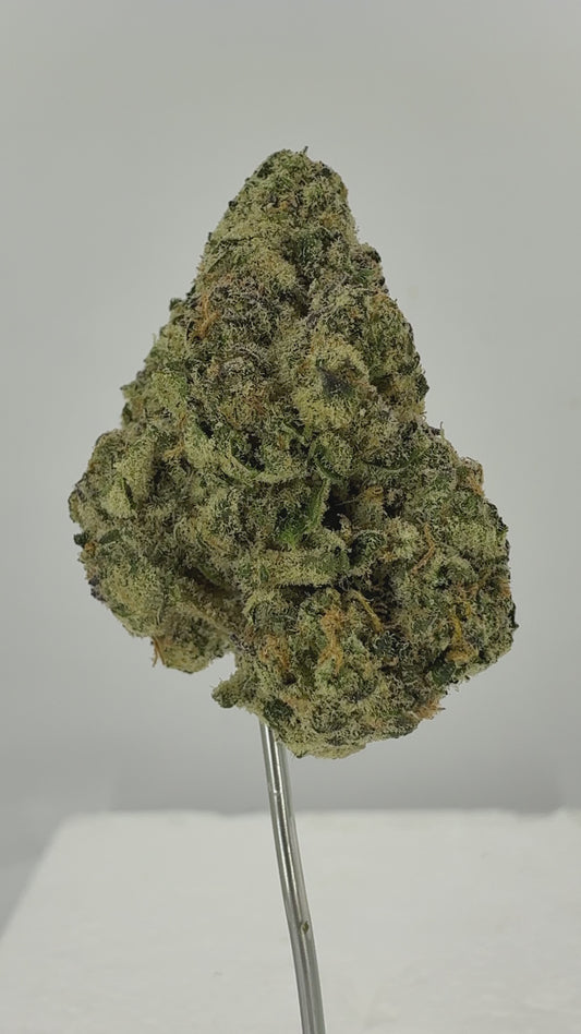 Tangerine Tree