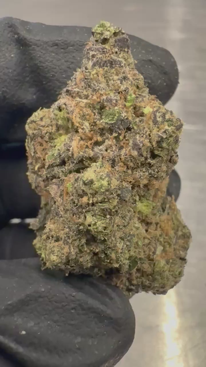 Load video: Hashburger