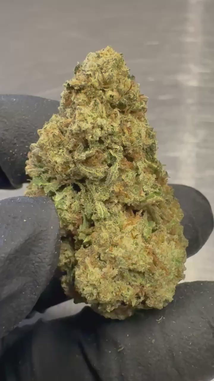 Load video: Jolly Rancher