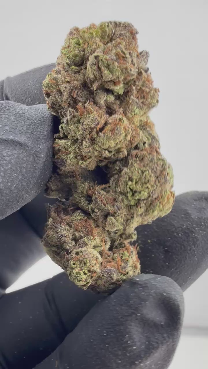 Load video: Cherry Sakura