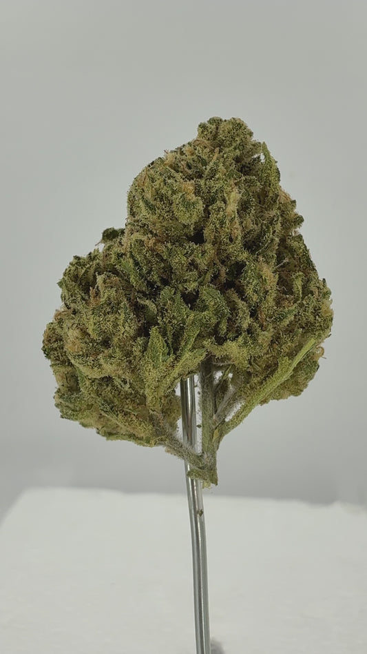 Funk Bomb