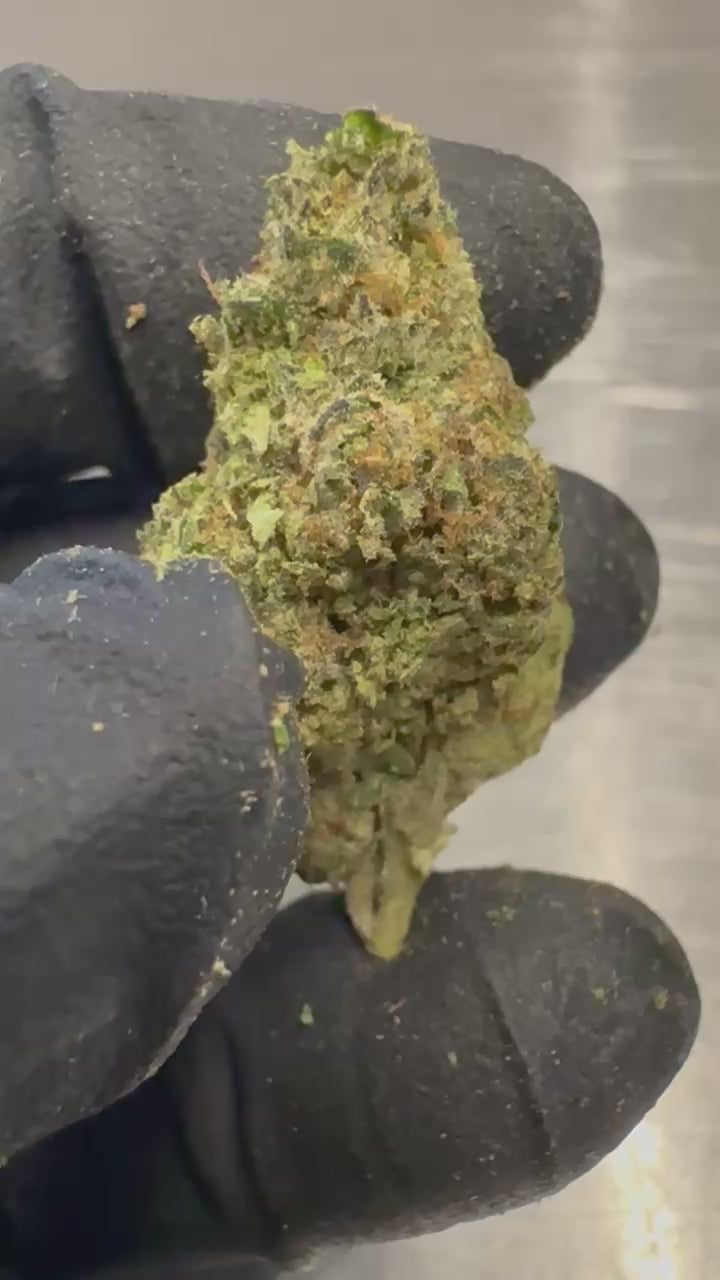 Load video: Super Glue