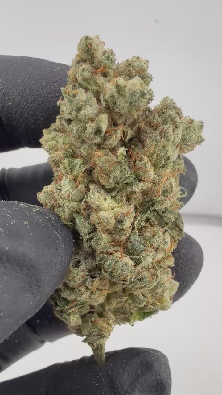 Load video: Original Glue