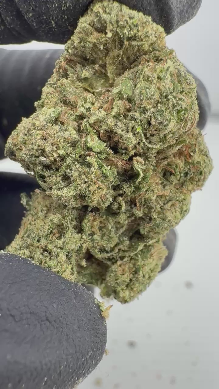 Load video: Lip Smackerz