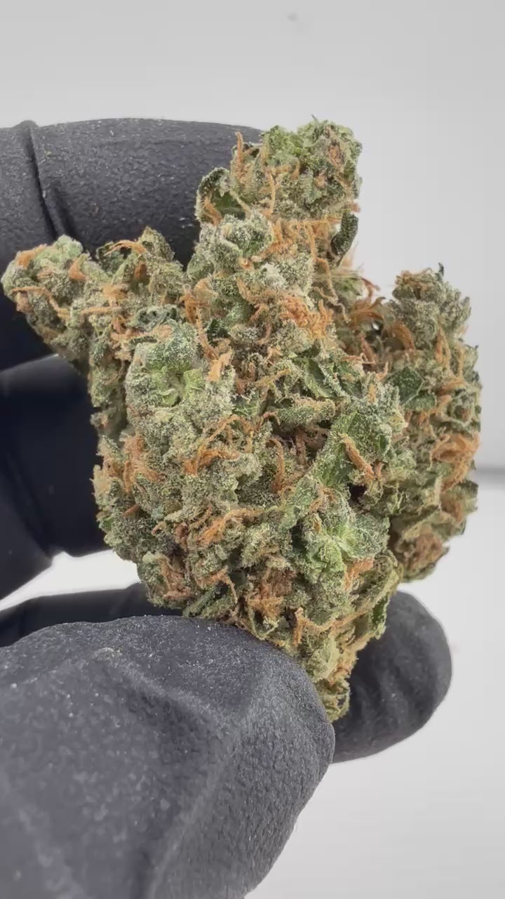 Load video: Super Lemon Haze