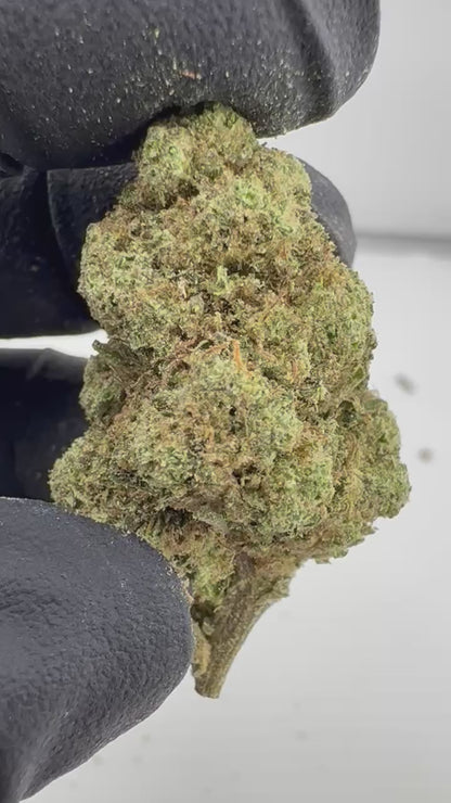 Dirty Girl Runtz Smalls