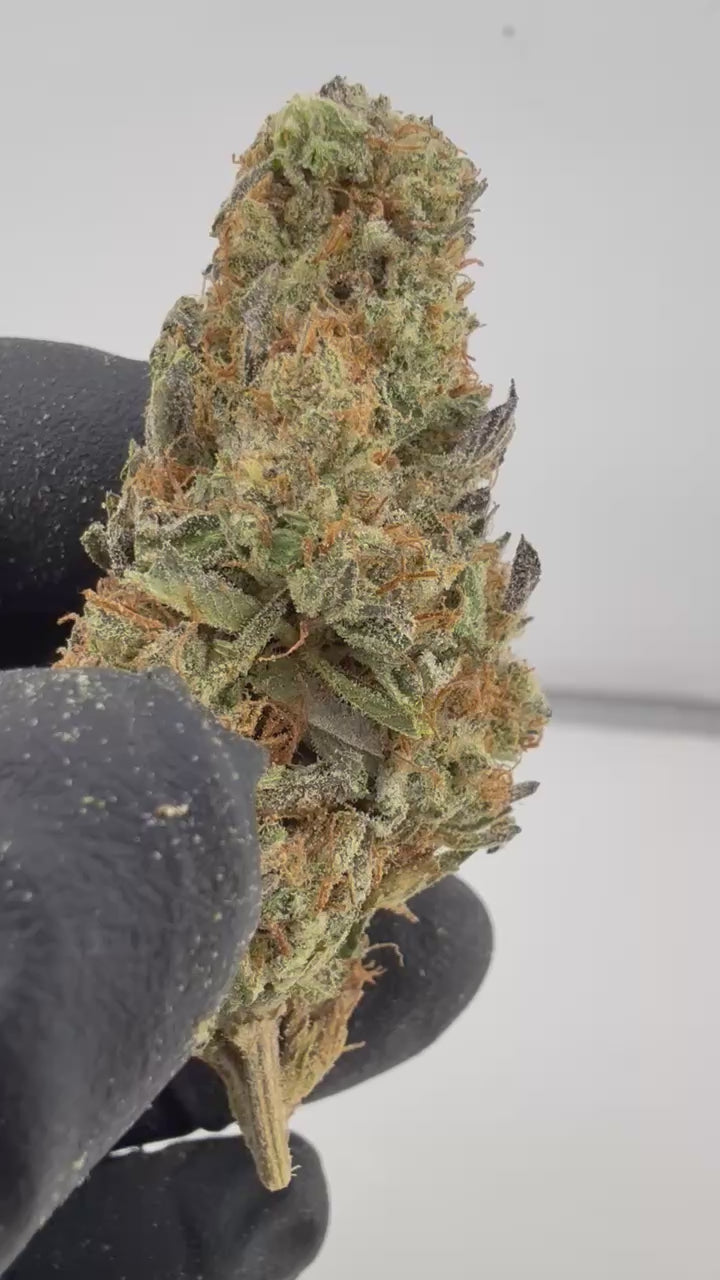 Load video: OZ Kush