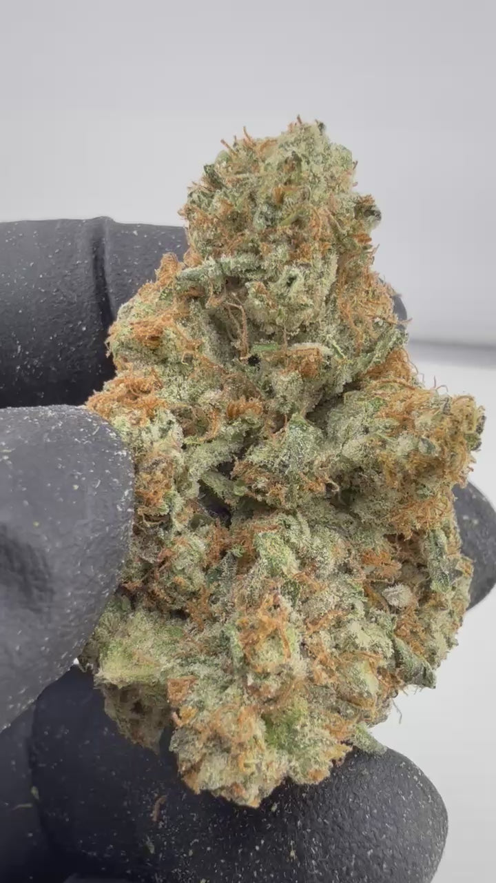 Load video: Black Diesel