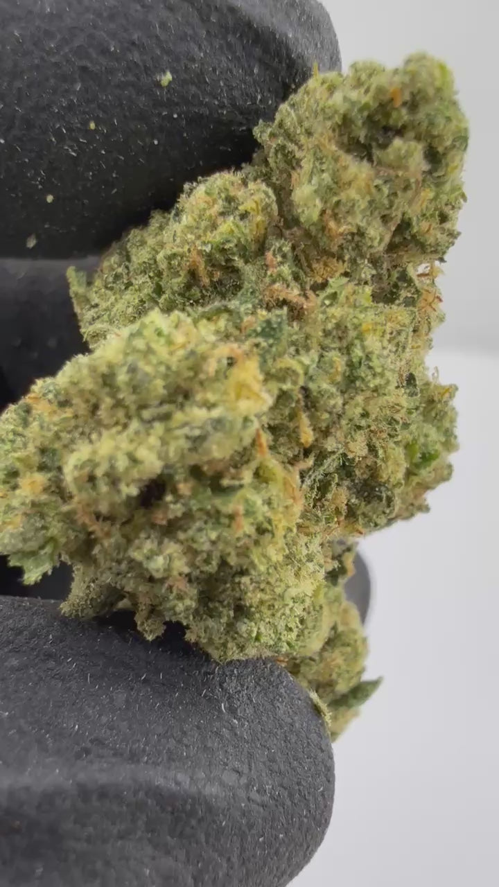 Poison Gushers Smalls