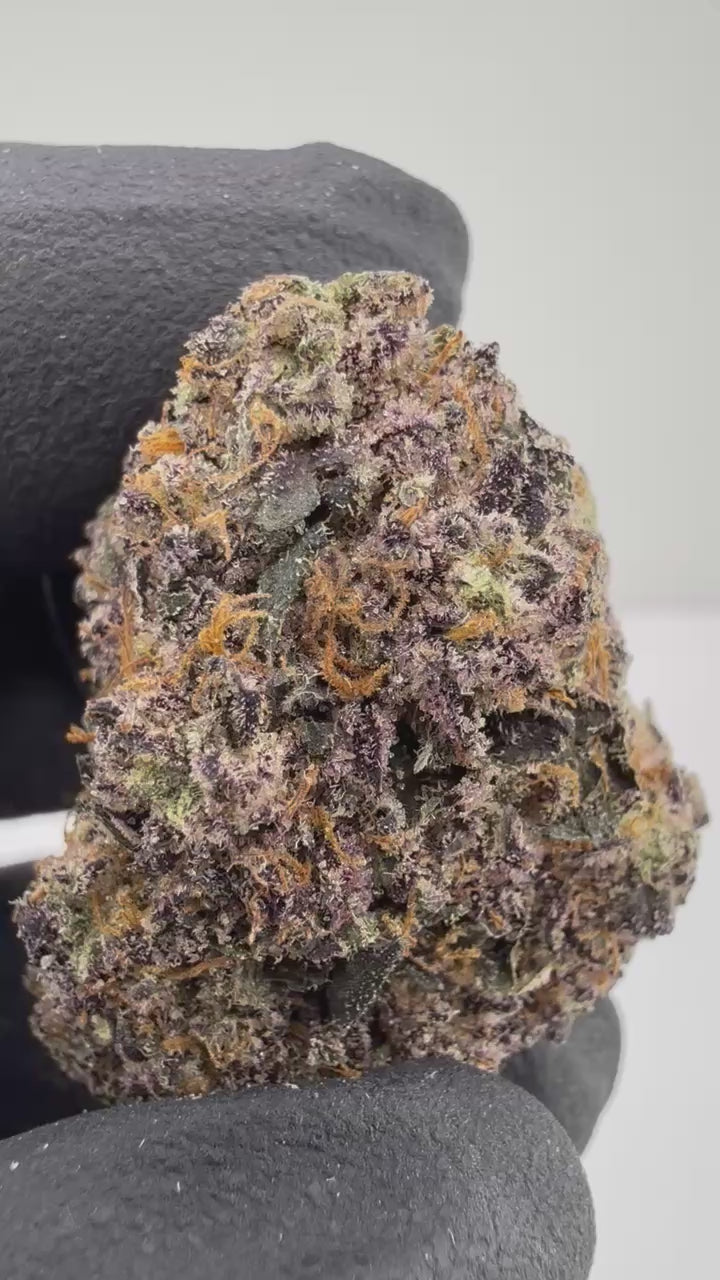 Load video: Black Mamba