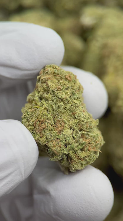 Sour Haze