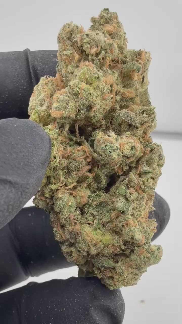 Load video: Blue Dream