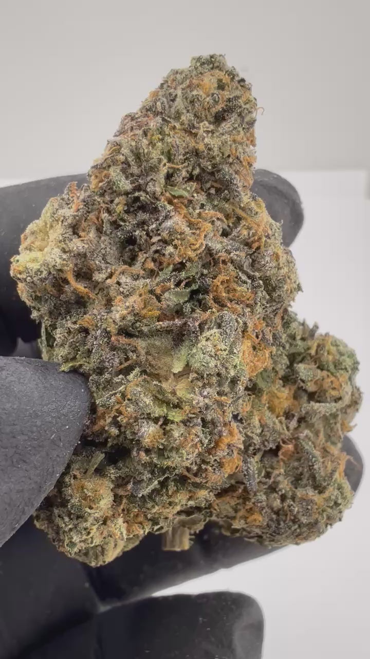 Load video: Sherbacio