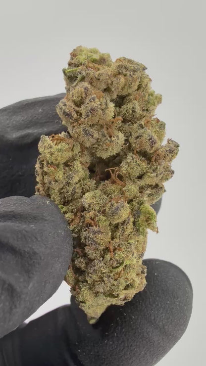 Orange Crush