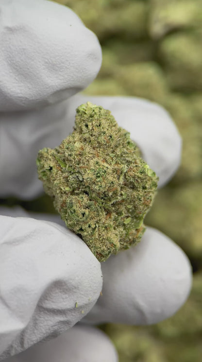 Papaya Bomb