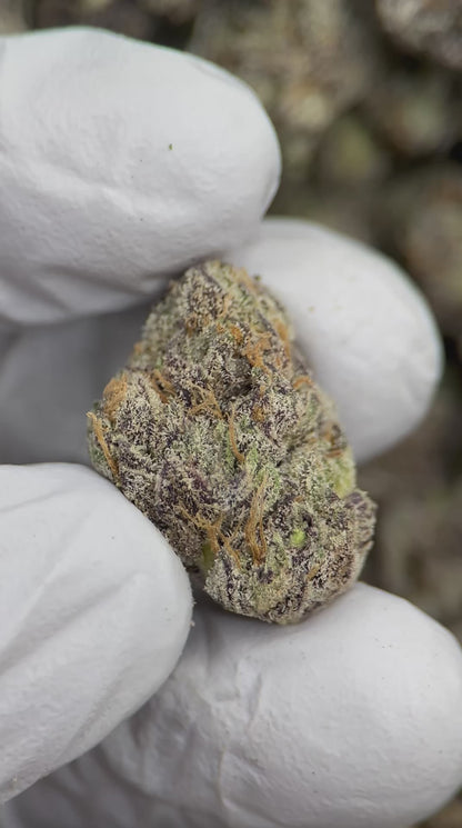 Presidential OG