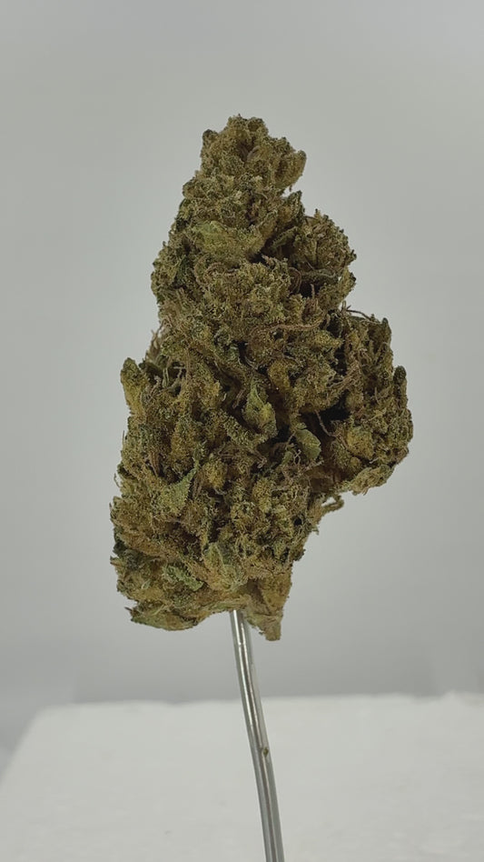Lemon Drop