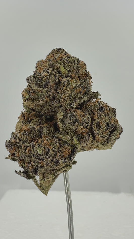 Blueberry Pancake