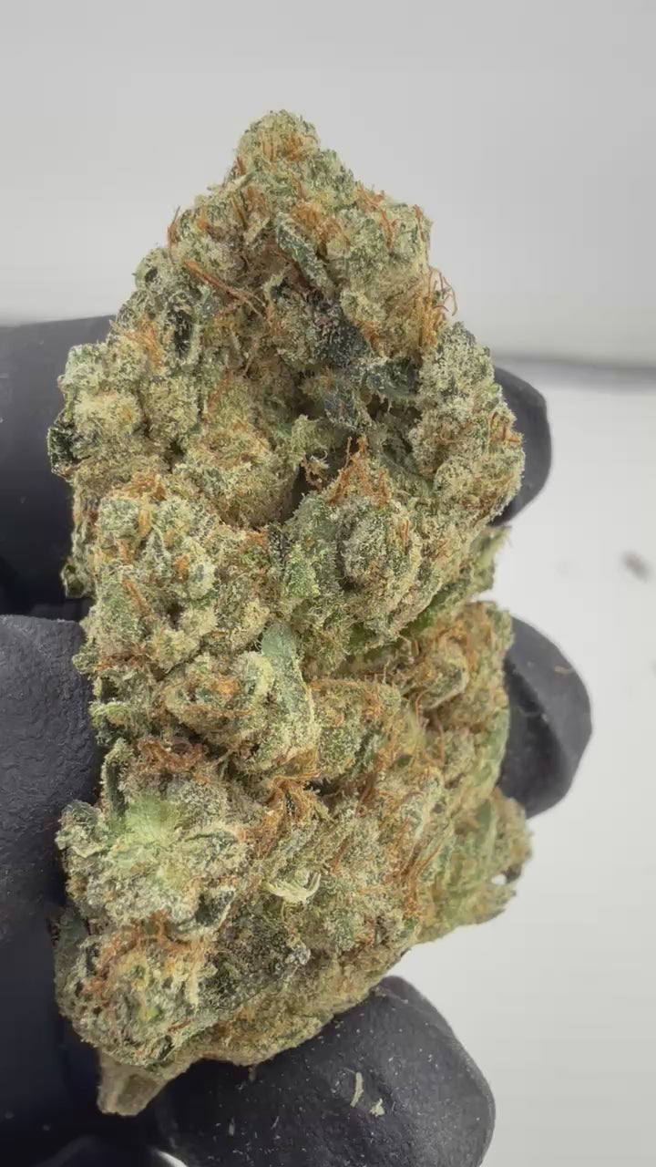 Load video: Marathon OG