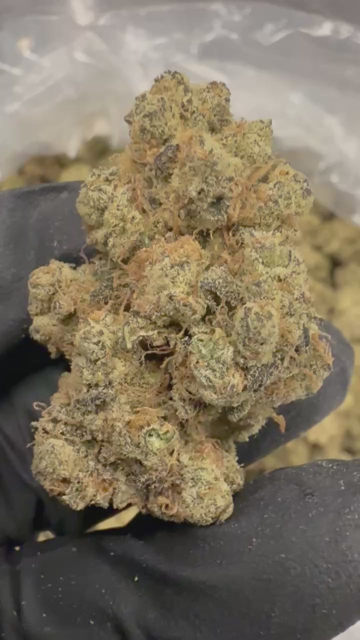 Load video: Airborne G13 × Super Silver Grail Haze