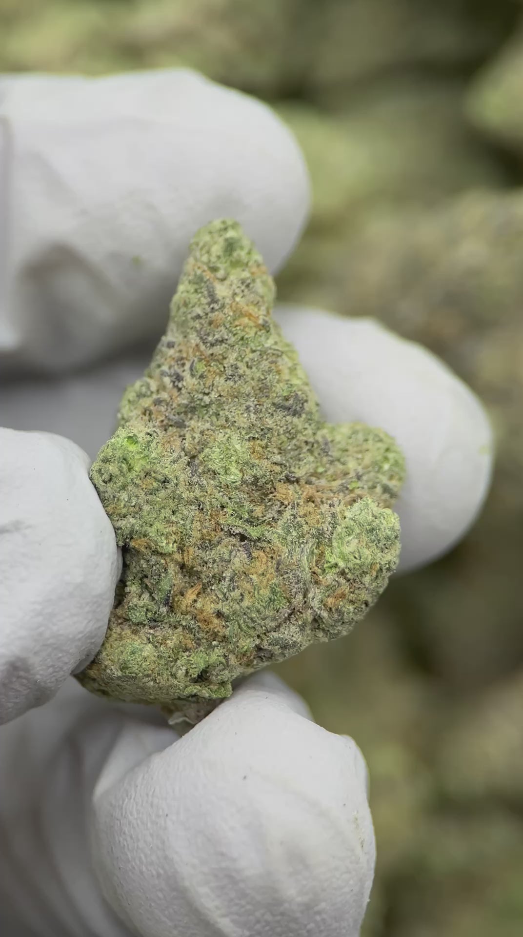 Load video: Mint Chocolate Chip