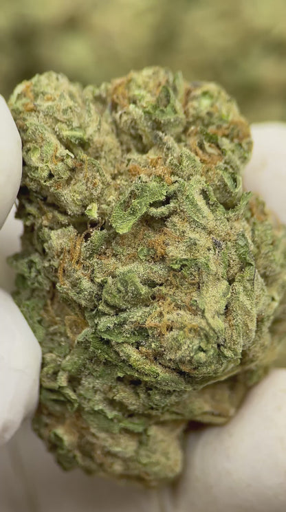 LA Kush Cake