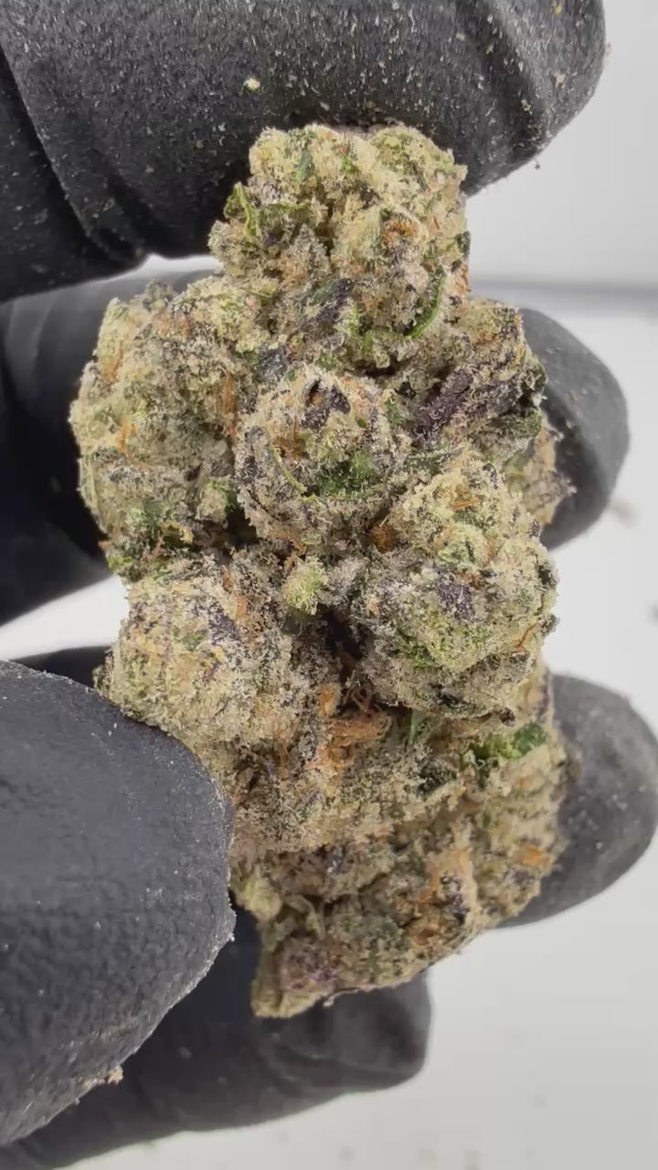 Load video: Gas Face