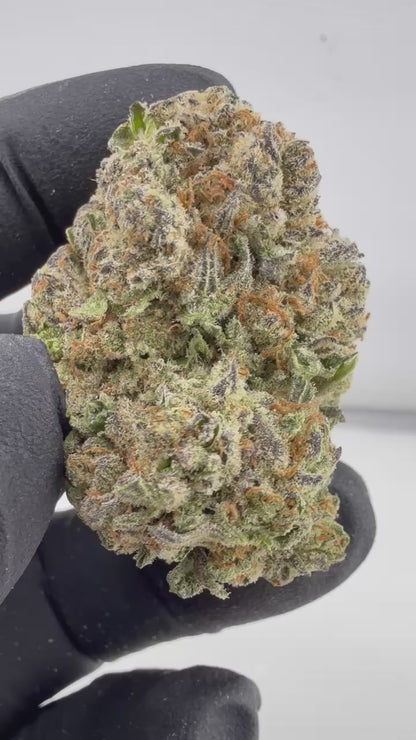 Gelato Bomb