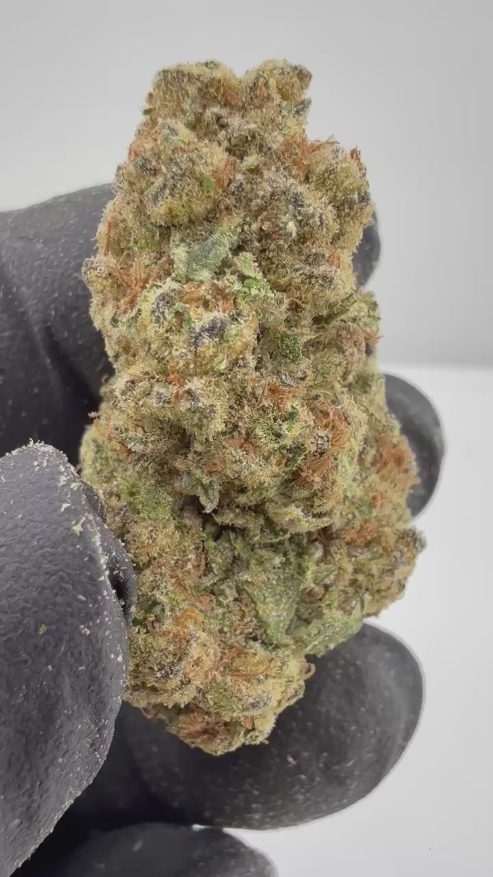 Load video: Blue Phoria