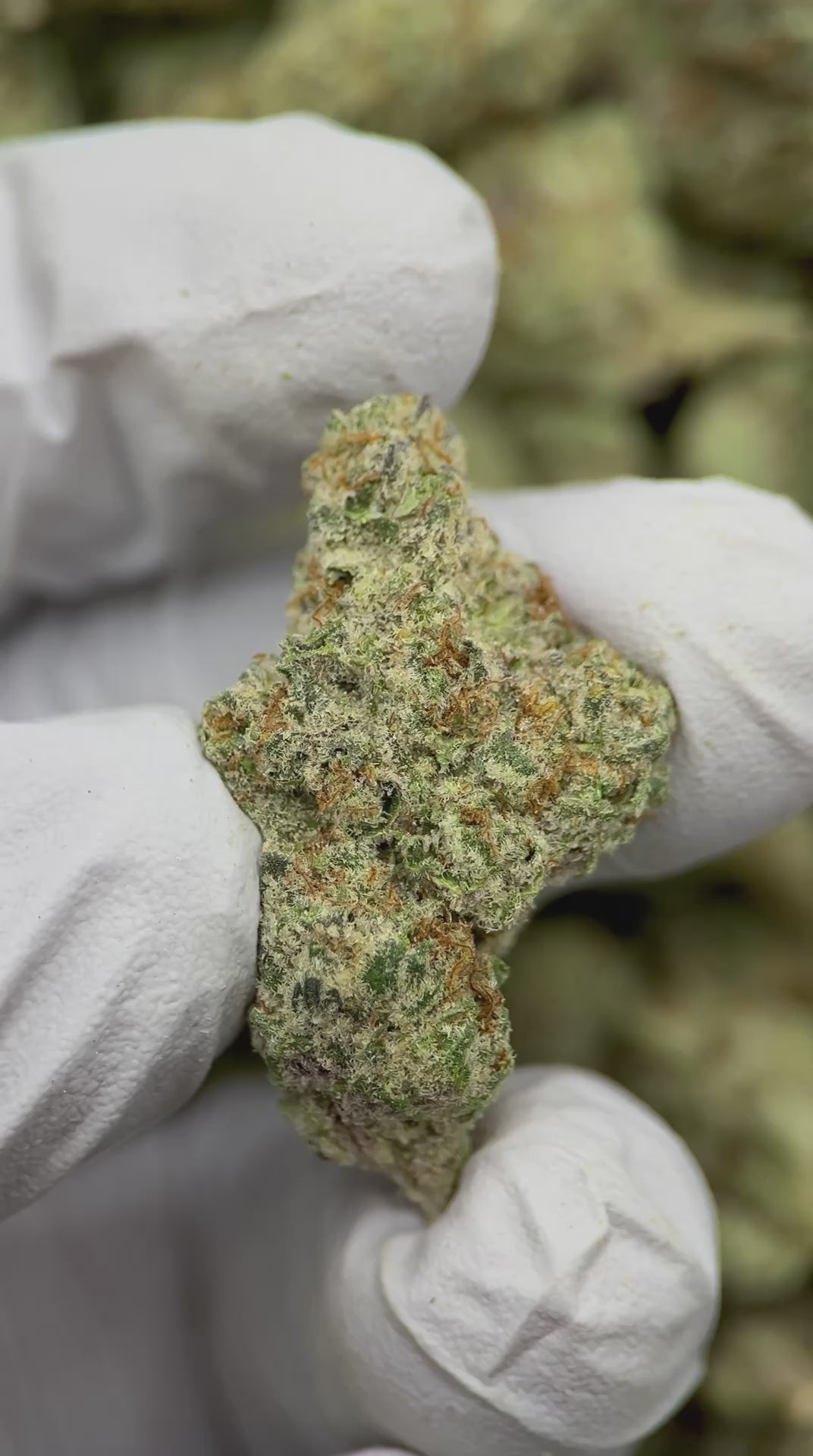 Load video: Purple Peanut Butter