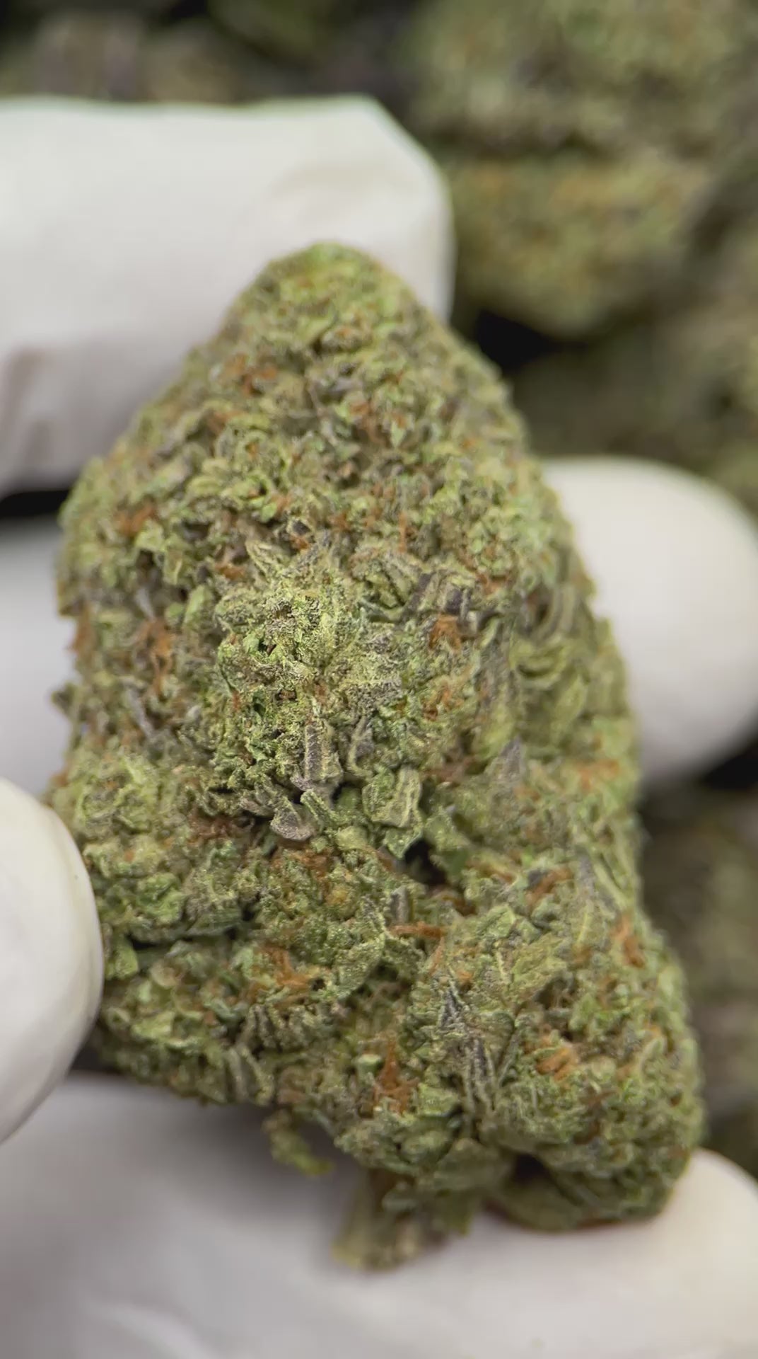 Load video: Grape Gelato