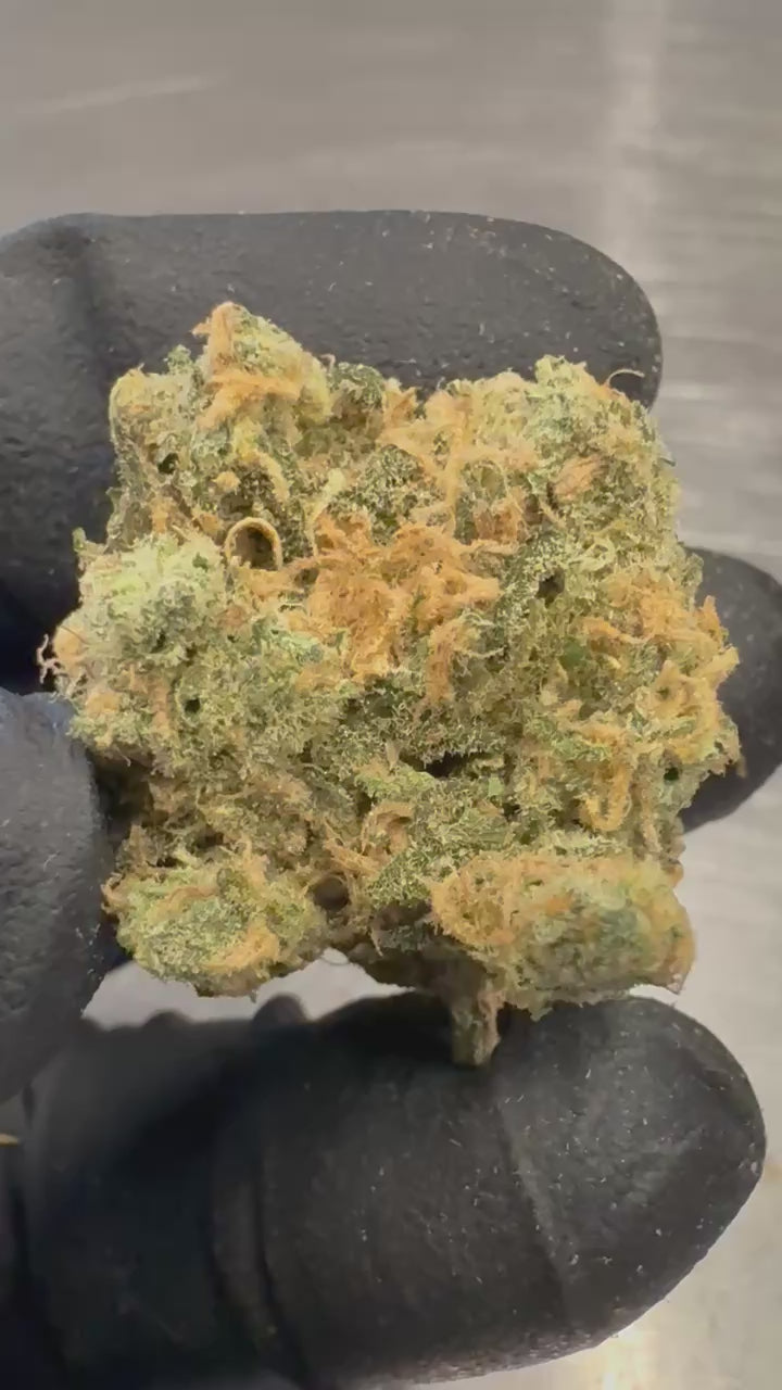 Load video: Blue Dream