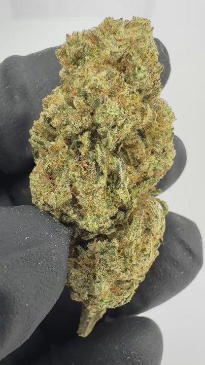 Blackberry Moonshine