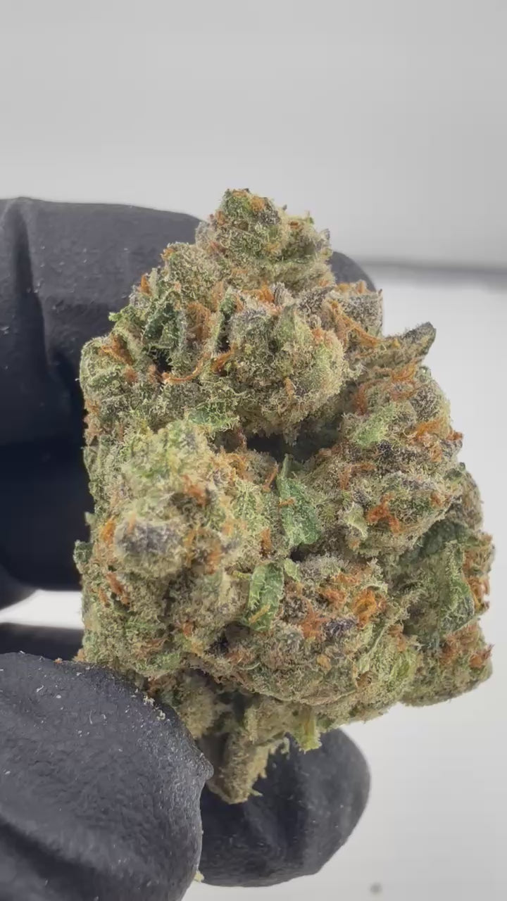 Load video: Lemon Pumpkin