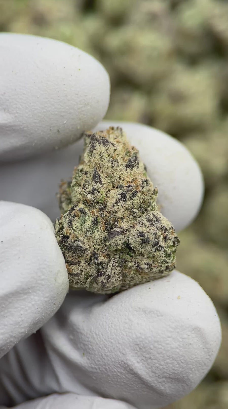 White Cherry Blaster