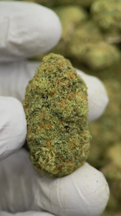 Sunset Sherbet